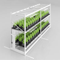 Multi-Tier Rolling Rack, double layer rolling rack, multi layers rolling racks, Multi-Tier Rolling Racks, Multi-tier / double tier racking system, grow racks, best grow racks, best rolling racks, best multi-tier roll racks, quality grow racks, racking system, grow rolling rack, grow rolling racks