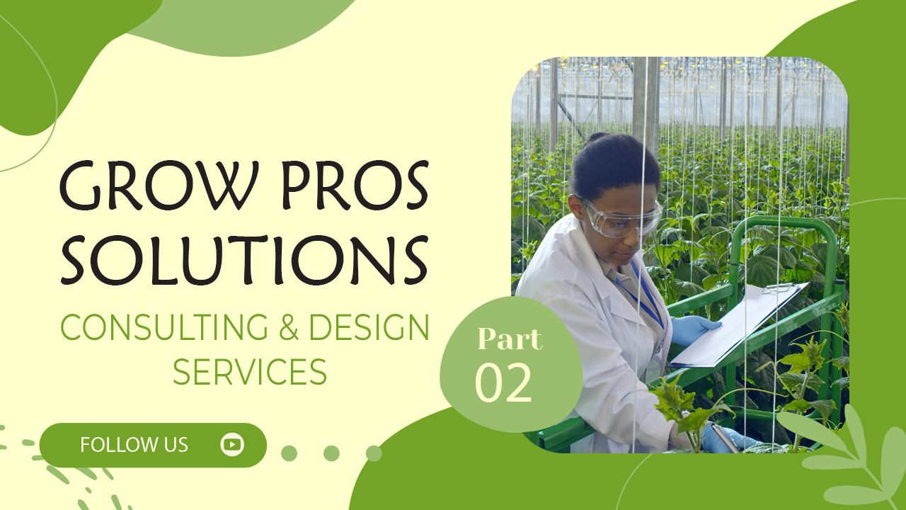 Design and Consulting Services Part 2