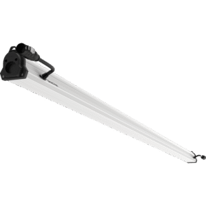 8' under canopy grow lights, 8' under canopy grow light, 8ft under canopy grow lights, 8ft under canopy grow light, under Canopy Lights, under Canopy grow Lights, under Canopy Lighting, under Canopy grow Lighting, interlighting, Plants Yield, under canopy light 8ft, under canopy grow light 8ft, Under Canopy Grow Light LED