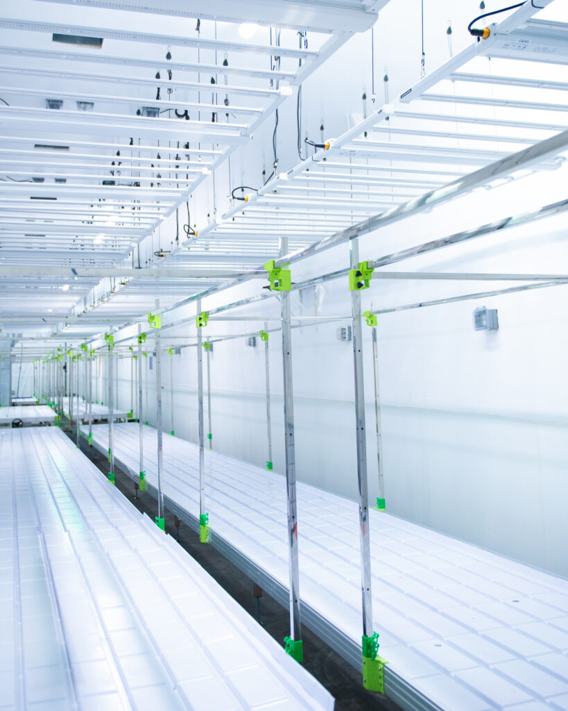 rolling benches, commercial grade rolling benches, rolling bench, rolling bench for growers, grow tray stands, Grow Racks, Indoor/Greenhouse Benching and Production Surface