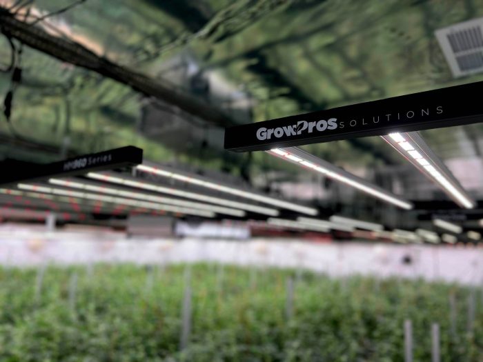 Grow Pros Solutions, led grow lights, Horticulture, hydroponic, led grow light, full spectrum led grow light