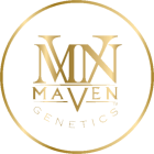 MavenKush Trusted By Industry Leaders, MavenKush