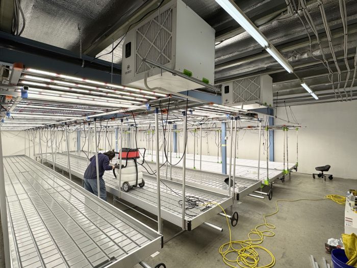 grow table, grow tables, rolling bench, grow tray stands