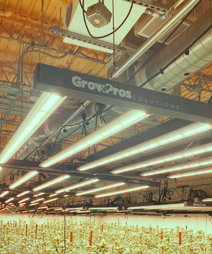 hm660 led grow lights, led grow lights, horticulture grow lights, grow lighting, plant lights, indoor grow lights, best grow lights, growers choice, full spectrum grow lights, grow lights, commercial grow lights