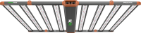phoenixcover-1.png
