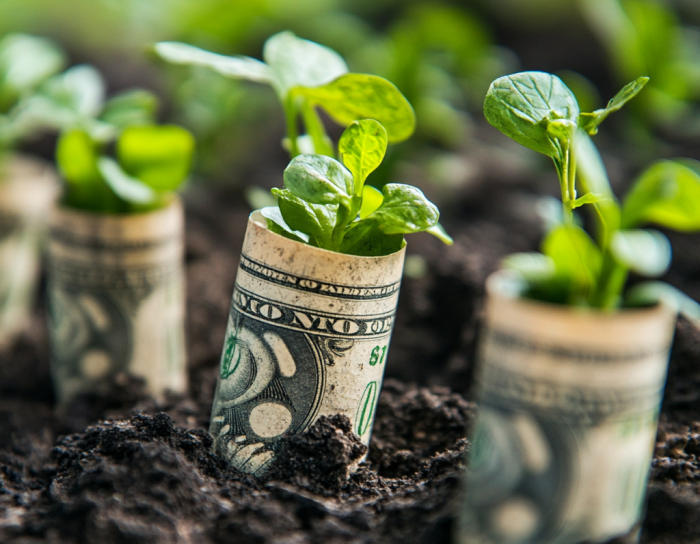 post.aug.26.2024 utility rebate, utility energy rebate, led rebate, under canopy light rebate