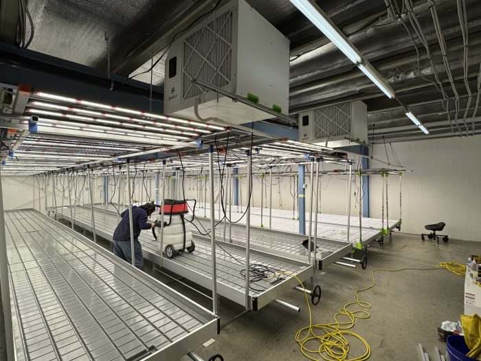 rolling benches, commercial grade rolling benches, rolling bench, rolling bench for growers, grow tray stands, Grow Racks, Indoor/Greenhouse Benching and Production Surface, Profit of Rolling Benches, grow rolling bench, grow rolling benches