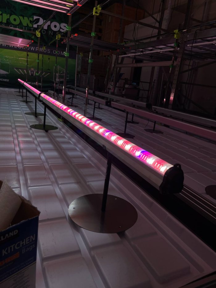 under-canopy lighting, inter-canopy lighting, inner-canopy lighting, under canopy light, inter canopy light, inner canopy light, under canopy grow light, inter canopy grow light, inner canopy growl light,