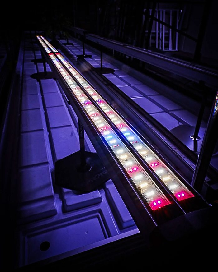 adjust spectrum, adjustable ,spectrum, undercanopylight, under canopy light, under canopy light red, red spectrum under canopy light, 8ft Under Canopy Light red, Under Canopy Light LED