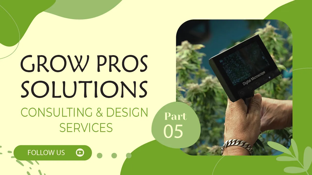Consulting & Design Services Part 5