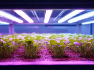 clone light, clone lights, led grow light