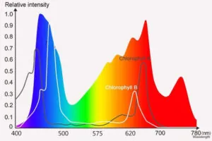 Far-red Photons