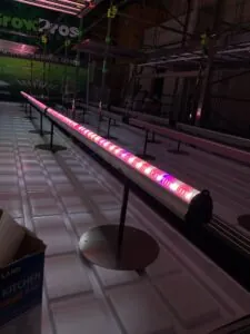 under-canopy lighting, inter-canopy lighting, inner-canopy lighting, under canopy light, inter canopy light, inner canopy light, under canopy grow light, inter canopy grow light, inner canopy growl light,