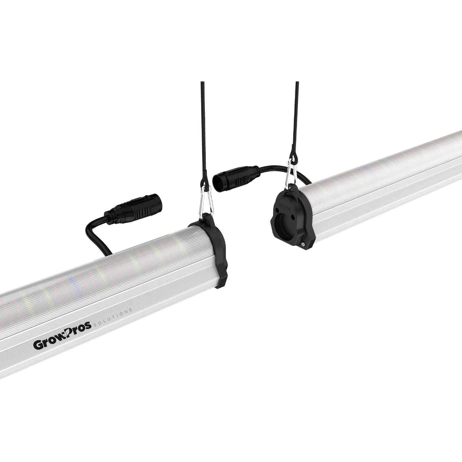 8' under canopy grow lights, 8' under canopy grow light, 8ft under canopy grow lights, 8ft under canopy grow light, under Canopy Lights, under Canopy grow Lights, under Canopy Lighting, under Canopy grow Lighting, interlighting, Plants Yield, under canopy light 8ft, under canopy grow light 8ft, Under Canopy Grow Light LED