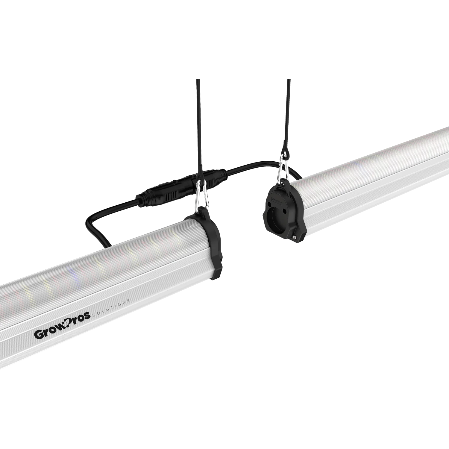 8' under canopy grow lights, 8' under canopy grow light, 8ft under canopy grow lights, 8ft under canopy grow light, under Canopy Lights, under Canopy grow Lights, under Canopy Lighting, under Canopy grow Lighting, interlighting, Plants Yield, under canopy light 8ft, under canopy grow light 8ft, Under Canopy Grow Light LED