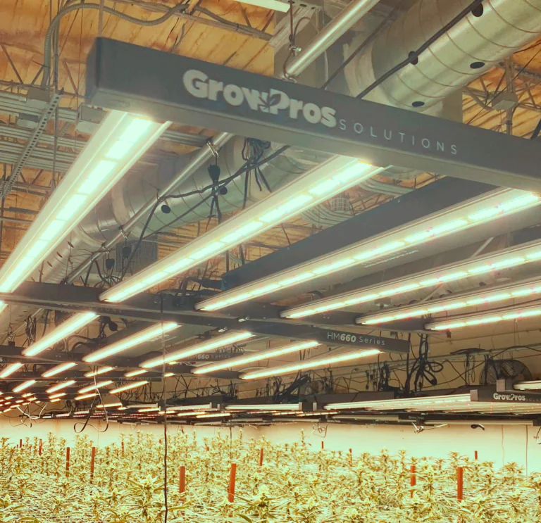 480 volts led grow light, 480-volt grow lighting, commercial grow lights,
