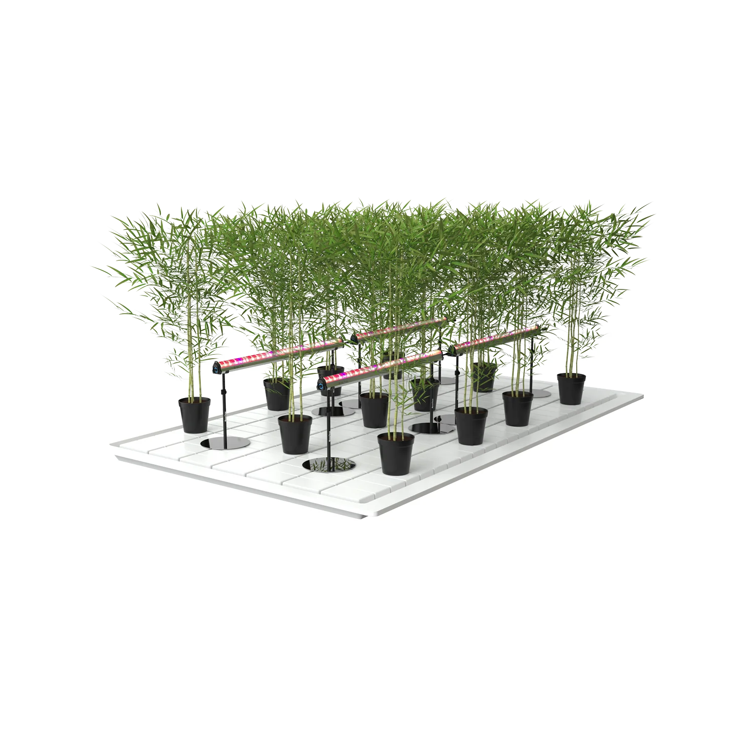 undercanopylight, under canopy light, under canopy light red, red spectrum under canopy light, 8ft Under Canopy Light red, under canopy LED grow light