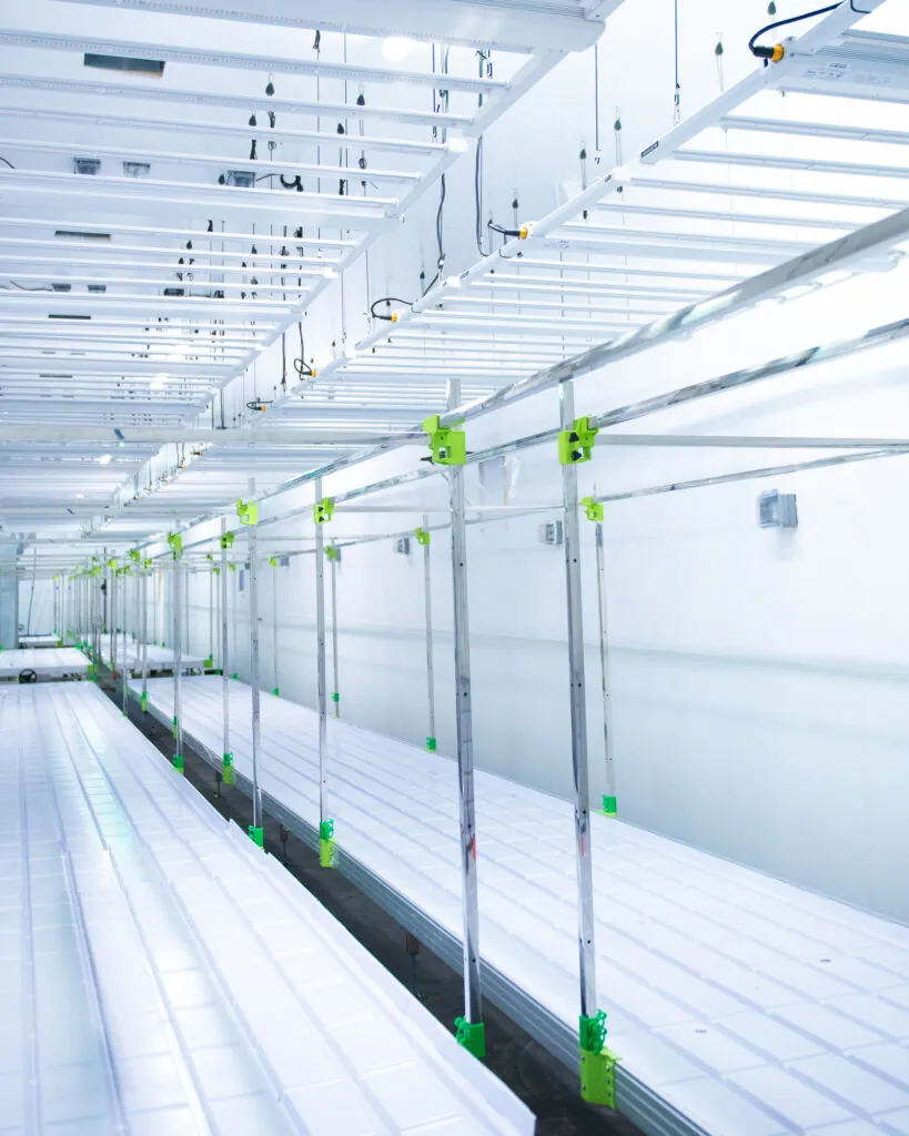 Meet New plug-and-play Rolling Benches at Grow Pros Solutions 1 rolling benches, commercial grade rolling benches, rolling bench, rolling bench for growers, grow tray stands, Grow Racks, Indoor/Greenhouse Benching and Production Surface