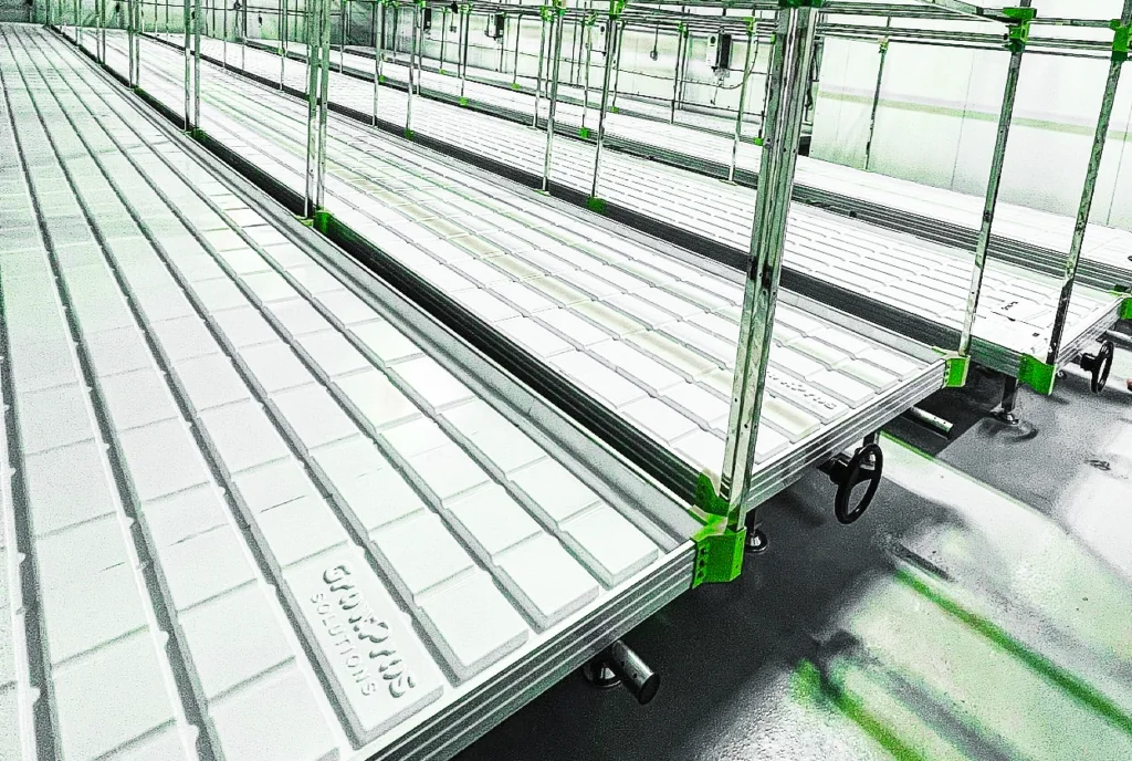 rolling benches, commercial grade rolling benches, rolling bench, rolling bench for growers, grow tray stands, Grow Racks, Indoor/Greenhouse Benching and Production Surface