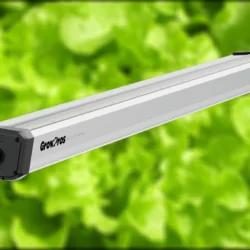 utility rebate, utility energy rebate, led rebate, under canopy light rebate