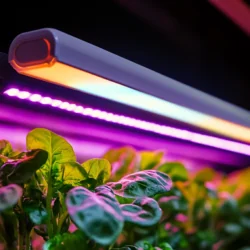 utility rebate, utility energy rebate, led rebate, under canopy light rebate
