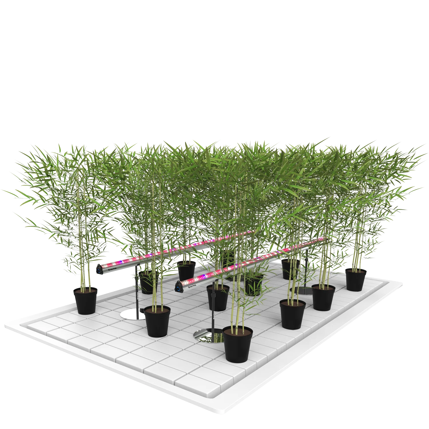 undercanopylight, under canopy light, under canopy light red, red spectrum under canopy light, 8ft Under Canopy Light red, under canopy LED grow light