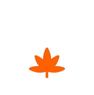 grow stages, grow stages vector, vertical grow, indoor grow, indoor cultivation, cultivation, horticulture,