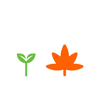 grow stages, grow stages vector, vertical grow, indoor grow, indoor cultivation, cultivation, horticulture,