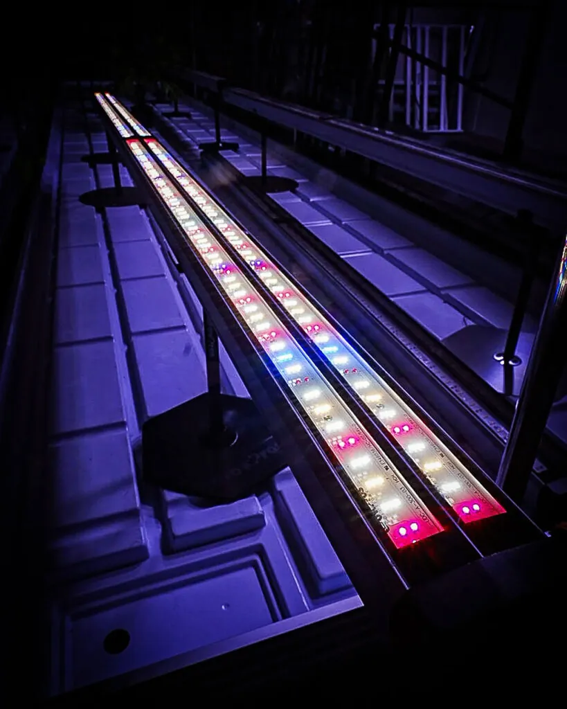 LED Grow Light Spectrum: 7 Key Insights for Better Strains 2 adjust spectrum, adjustable ,spectrum, undercanopylight, under canopy light, under canopy light red, red spectrum under canopy light, 8ft Under Canopy Light red, Under Canopy Light LED