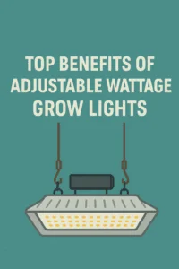 Adjustable Wattage Grow Lights: 7 Unstoppable Advantages