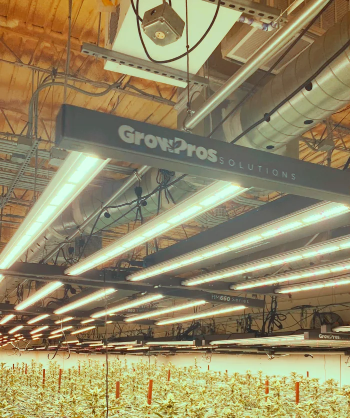 hm660 led grow lights, led grow lights, horticulture grow lights, grow lighting, plant lights, indoor grow lights, best grow lights, growers choice, full spectrum grow lights, grow lights, commercial grow lights