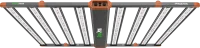 phoenixcover-1.png
