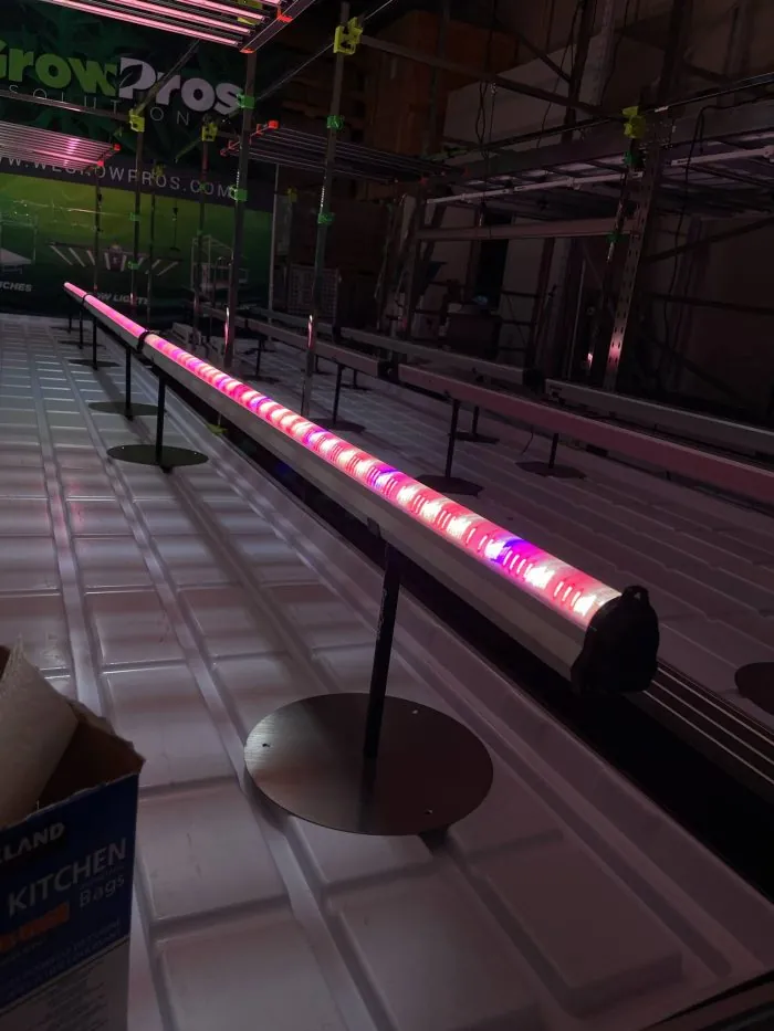 under-canopy lighting, inter-canopy lighting, inner-canopy lighting, under canopy light, inter canopy light, inner canopy light, under canopy grow light, inter canopy grow light, inner canopy growl light,